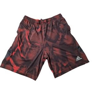 Adidas Men's Red and Black Shorts